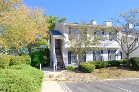 Photo of 184 Milkweed Ct, Readington, NJ 08887 (MLS # 3991312)