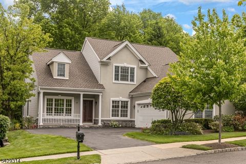 27 Bethpage Dr Montgomery Twp. NJ 08558