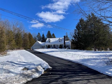 938 Potters Rd Stillwater Twp. NJ 07860