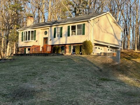 5 Piney Rd Montague Twp. NJ 07827