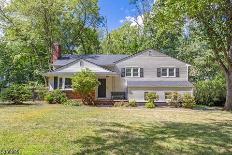 26 Brookfield Way Morris Twp. NJ 07960