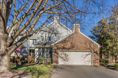 95 Jesse Ct Montville Twp. NJ 07045