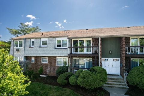 34 Deanna Dr 96 Hillsborough Twp. NJ 08844