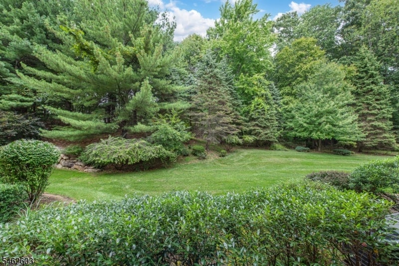 1115 HAMILTON DRIVE
