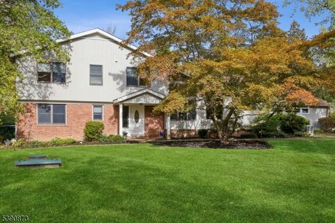 92 Whitenack Rd Bernards Twp. NJ 07920