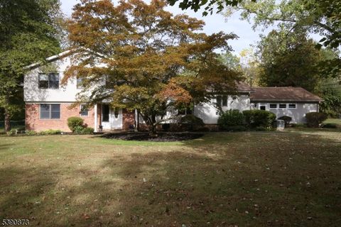 92 Whitenack Rd Bernards Twp. NJ 07920