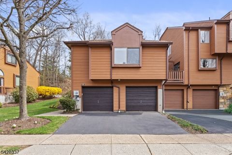 25 Flintlock Ter Rockaway Twp. NJ 07866