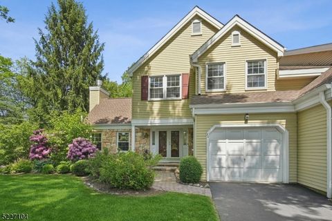 30 Northbridge Pl Morris Twp. NJ 07960