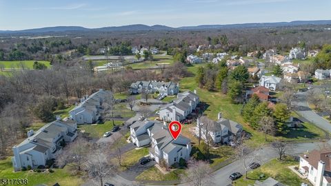 12 Buffalo Hollow Rd Branchburg Twp. NJ 08876