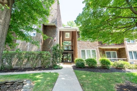 7 Tulip Cres 2D Little Falls Twp. NJ 07424