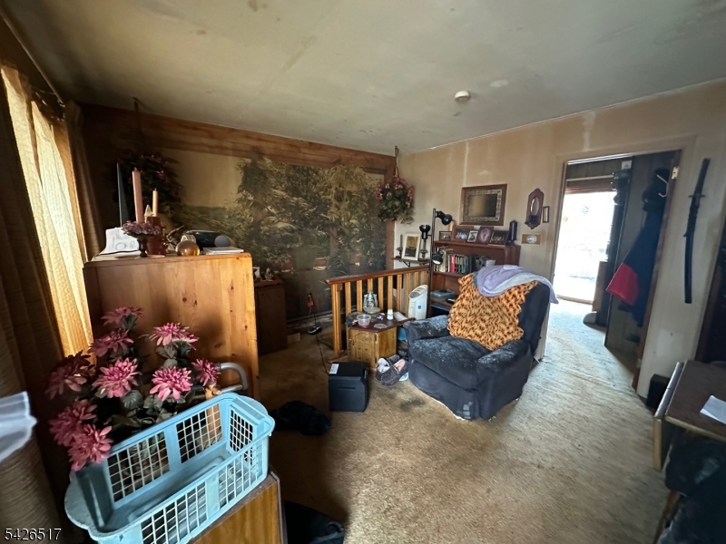231 Elmira Trl