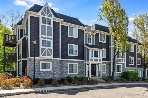 81 Village Dr 81 Morris Twp. NJ 07960
