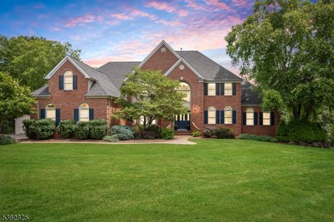 6 Heritage Ct Branchburg Twp. NJ 08876