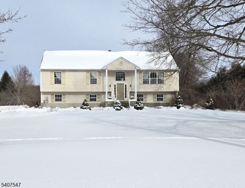 63 Halsey Rd Hampton Twp. NJ 07860