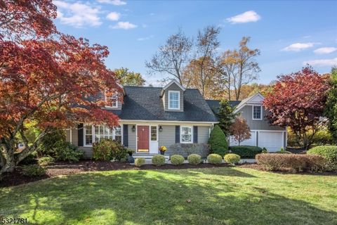 175 Sand Spring Rd Harding Twp. NJ 07976