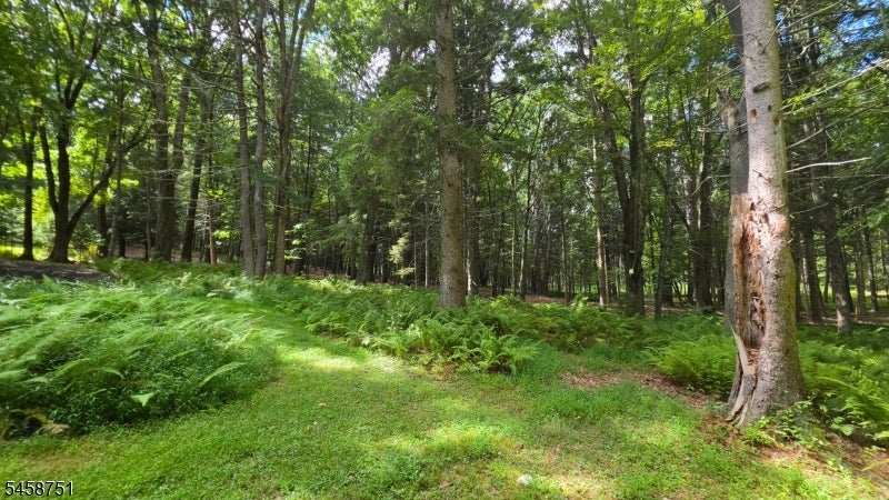 29 Millville Rd