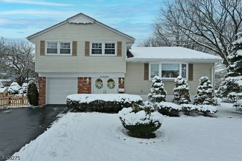 368 Elmwood Dr Paramus Boro NJ 07652