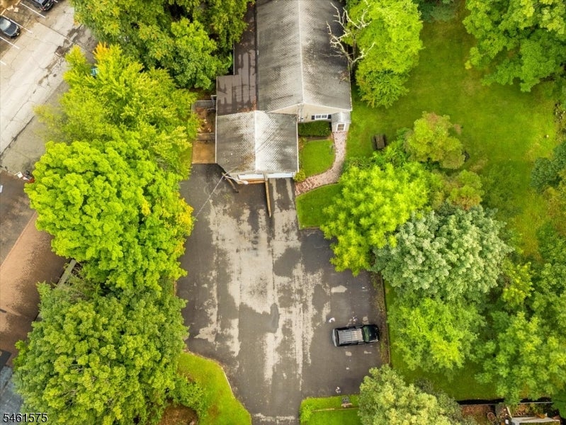 113 Harrison Ave