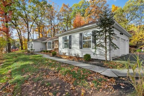 19 Ravenswood Ln Scotch Plains Twp. NJ 07076