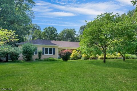 7 Short Hills Ln Scotch Plains Twp. NJ 07076