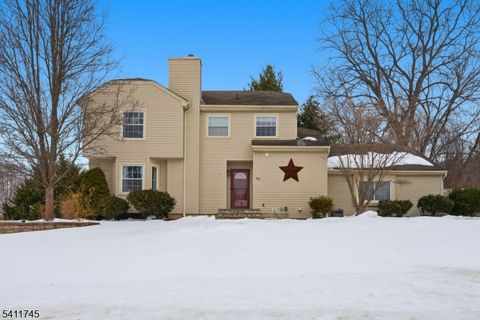 45 Knob Hill Rd Washington Twp. NJ 07840