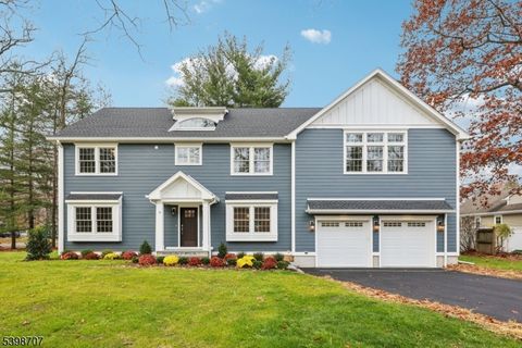 9 Kitchell Rd Morris Twp. NJ 07960