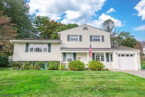 4 George St Roxbury Twp. NJ 07876