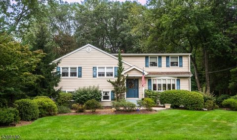 240 Cottage Rd Wyckoff Twp. NJ 07481