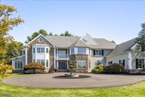 18 Todd Ridge Rd. Hopewell Twp. NJ 08560