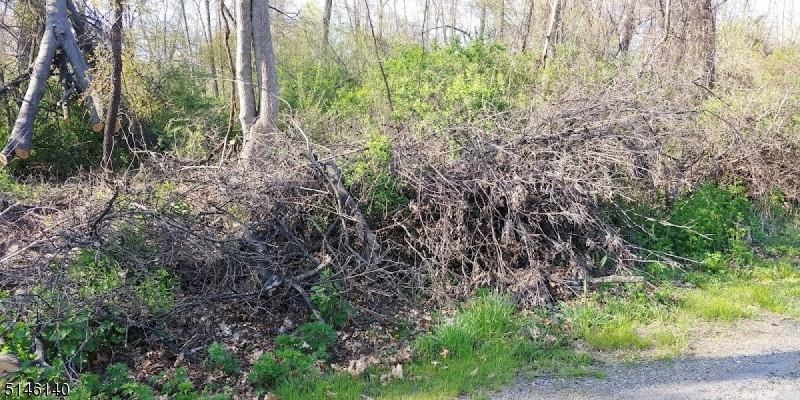 37 Cypress Dr