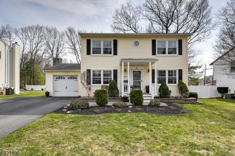 8 Loretta Ln Jefferson Twp. NJ 07438