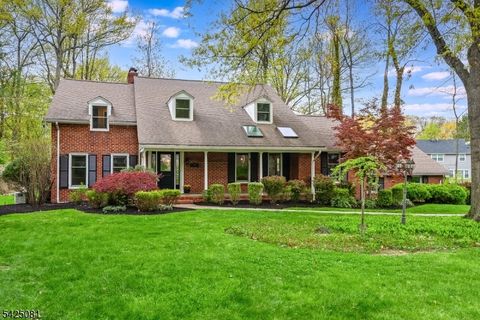 71 Tree Top Dr Springfield Twp. NJ 07081