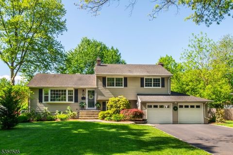 20 Canterbury Ln Berkeley Heights Twp. NJ 07922