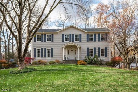 1 Jardine Ct Morris Twp. NJ 07950