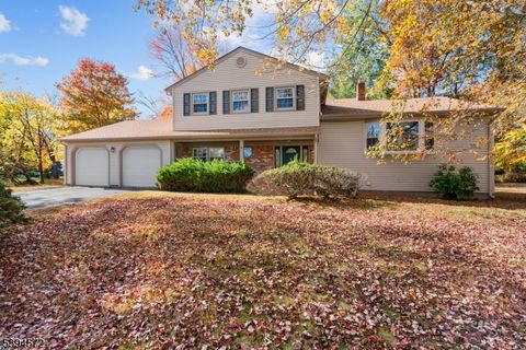 Photo of 4 New Hampshire Ct, Parsippany, NJ 07034 (MLS # 3995445)