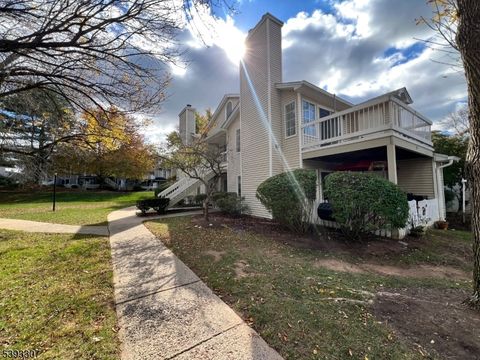 50 Sage Court Bedminster Twp. NJ 07921