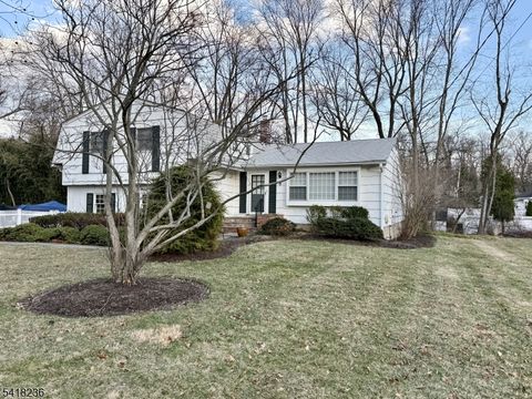 8 Johnston Dr Morris Twp. NJ 07960