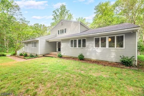 11 Indian Hollow Rd Mendham Twp. NJ 07945