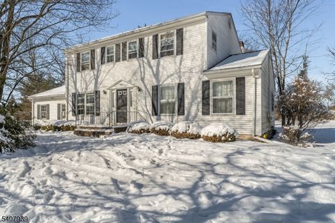 3 Meadow Lark Ct Raritan Twp. NJ 08822