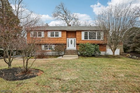 254 Darlington Ave Ramsey Boro NJ 07446