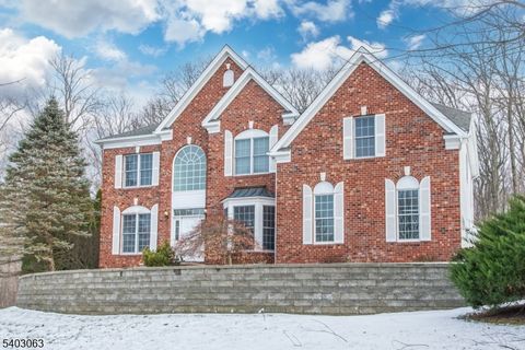 14 Greenbriar Ct Mount Olive Twp. NJ 07836