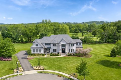 8 PHILHOWER COURT Denville Twp. NJ 07834