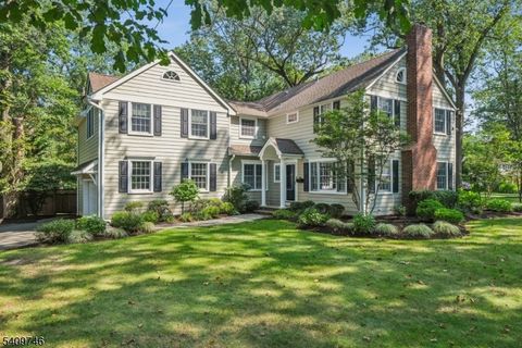 61 Oakwood Dr New Providence Boro NJ 07974