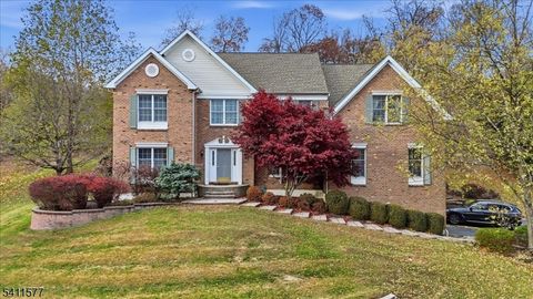 13 Old Schoolhouse Rd Bethlehem Twp. NJ 08802