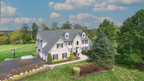 2 Dairy Farm Ln West Amwell Twp. NJ 08530