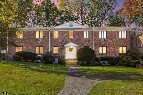 84D Troy Dr Springfield Twp. NJ 07081