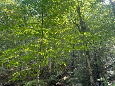 Photo for 0 U.S. 46