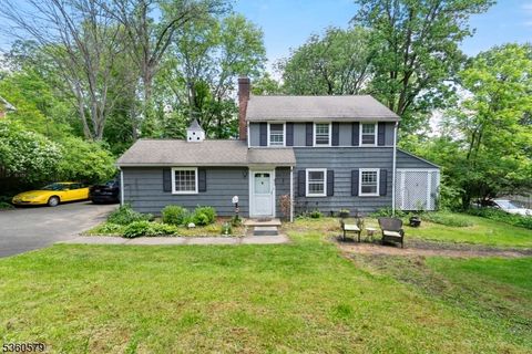 274 Diamond Hill Rd Berkeley Heights Twp. NJ 07922