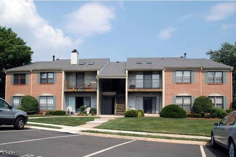 292 English Place Bernards Twp. NJ 07920