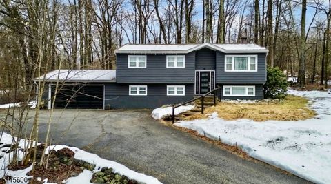 14 Tallahatchie Dr Vernon Twp. NJ 07461